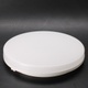 LED stropní světlo Leoeu IP54