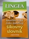 Španielsko-český, česko-španielsky šikovný slovník ...nielen do školy