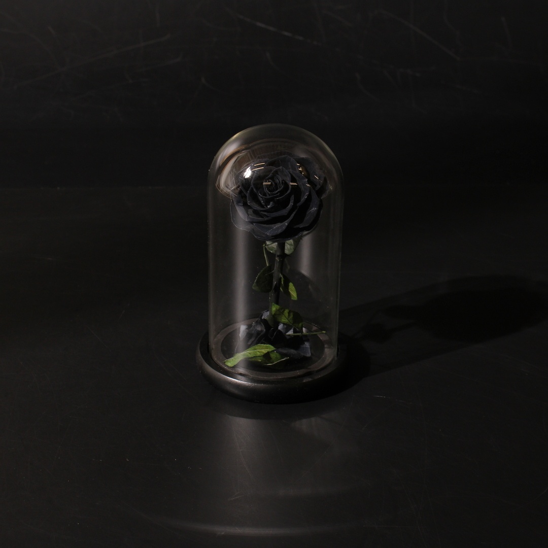 Dekorační květina INTIGNIS černá růže - bazar