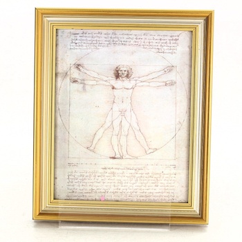 Obraz reprodukce Leonardo da Vinci