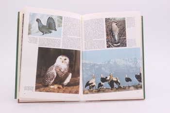 Kniha Vandring og traek i dyrenes verden
