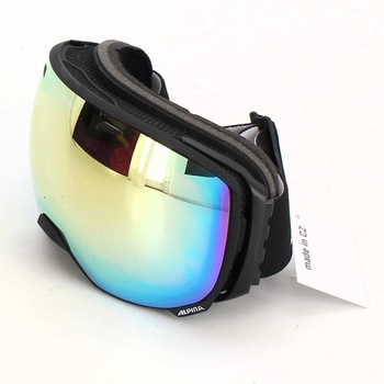 Lyžařské brýle Alpina Big Horn A7205
