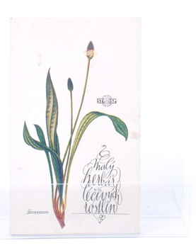 Kniha Malý herbář léčivých rostlin