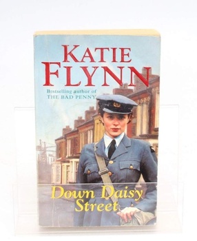 Kniha Katie Flynn - Down Daisy Street
