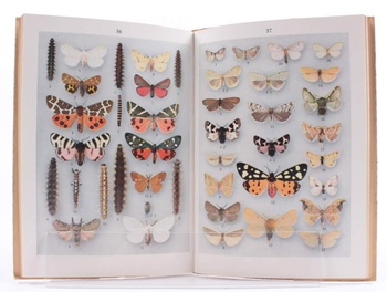 Kniha J. Komárek, J. Tykač: Atlas motýlů