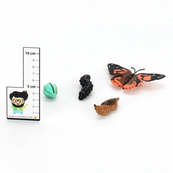 Naučná sada Insect Lore Vývoj motýla 04760