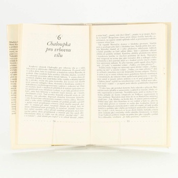 Kniha Náhrdelník z motýlků Marie Kubátová