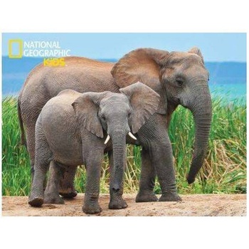 3D puzzle National Geographic slon
