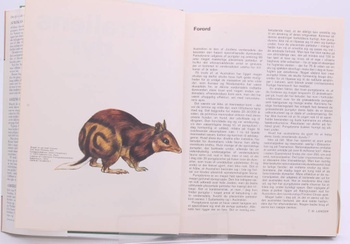 Kniha Torben W. Langer: Australiens dyr