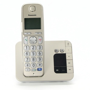 Domácí telefon Panasonic KX-TGE220JTN