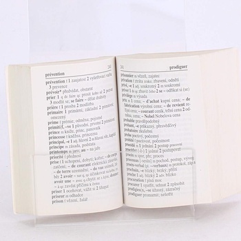 Knihy Francouzský slovník                   