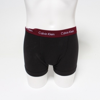 Pánské boxerky Calvin Klein 0000U2662G 