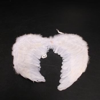 Andělská křídla bílá Colorama