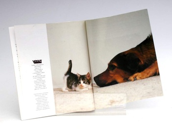 Kniha Katrin Behrendová: Jak na to - Kočka