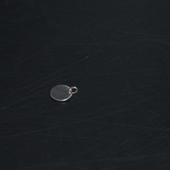 Stříbrný přívěsek Thomas Sabo 1,4 cm