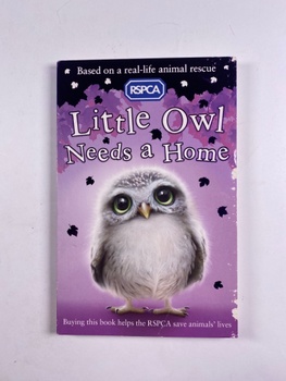 RSPCA: Little Owl Needs a Home (5)