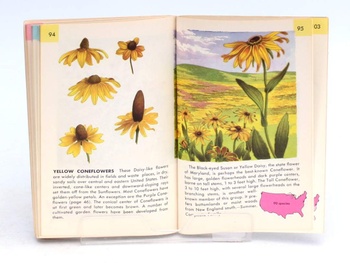 Flowers A guide to familiar wildflowers