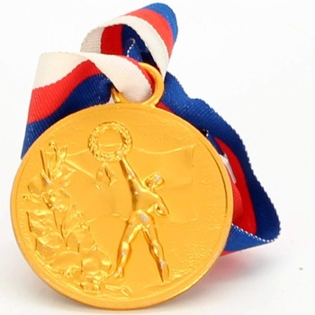 Medaile DPM v Litvínově  