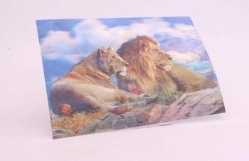 Obrazy s motivy lvů a srnce