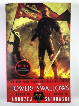 The Witcher: The Tower of Swallows (4)