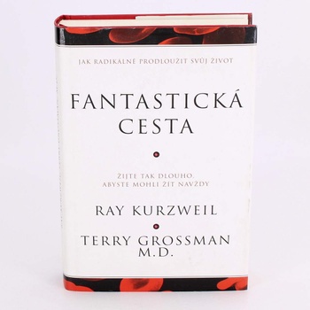Fantastická cesta R. Kurzweil, T. Grossman