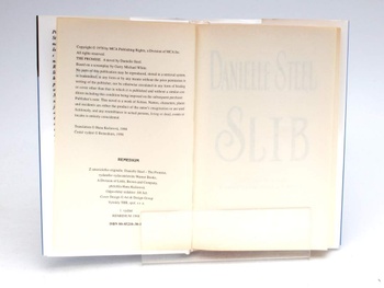 Kniha Danielle Steel: Slib