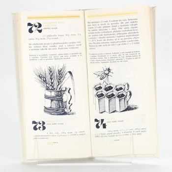 Kniha 99 sladkostí sovětské kuchyně Dufek