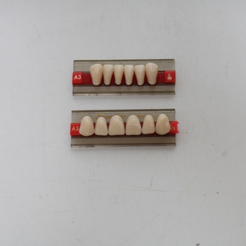 Zubní protézy z pryskyřice