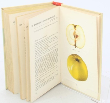 Kniha K. Kohout: Jablka