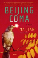Beijing Coma - A Novel