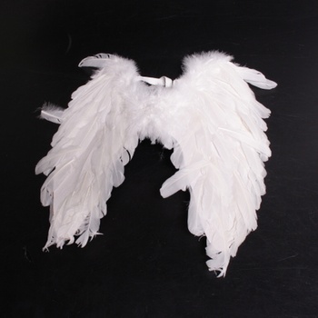 Andělská křídla Boland 52798