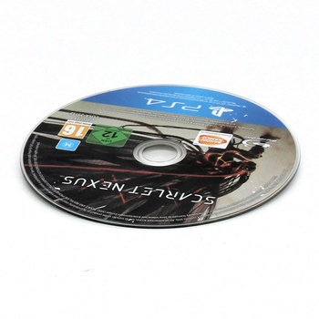 Hra pro PS4 PlayStation 19SCANE2
