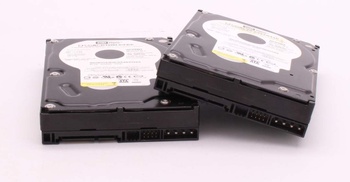 Pevné disky Western Digital WD3200KS 3.5 palců