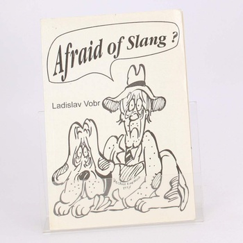 Slovník Afraid of slang?  
