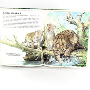 Kniha Zvířata Asie kolektiv autorů