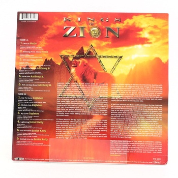 Gramofonová deska KIngs of Zion