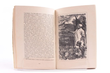 Kniha Henryk Sienkiewicz: Pouští a pralesem