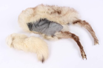 Kožešinový límec polární liška