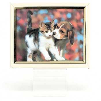 Obrázek koťátka a štěněte v rámečku