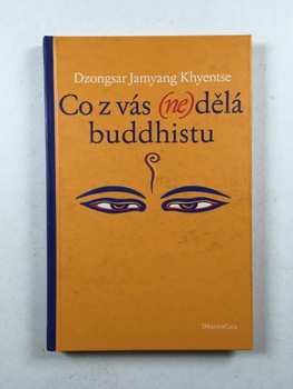 Dzongsar Jamyang Khyentse: Co z vás (ne)dělá buddhistu