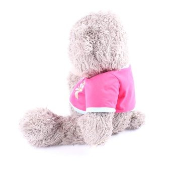 Plyšový medvěd Me To You v růžovém tričku