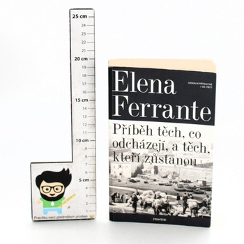 Politický román Elena Ferrante