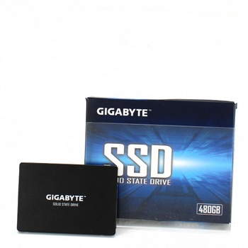 SSD disk Gigabyte GP-GSTFS31480GNTD