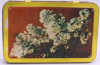 Plechová krabička Elida s motivem květin