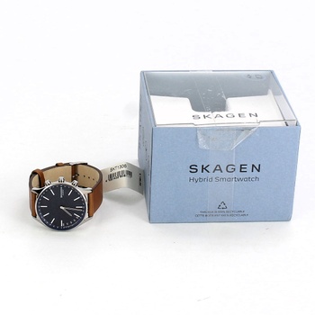 Pánské hodinky Skagen SKT1306