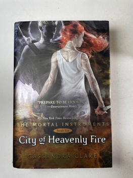 The Mortal Instruments: City of Heavenly (6)