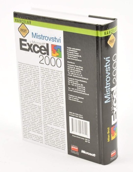 Kniha - Mistrovství v Microsoft Excel 2000