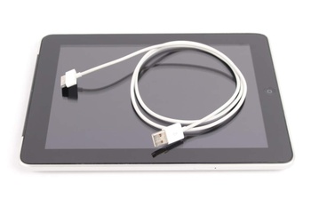 Apple iPad 1. generace 64GB stříbrný