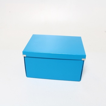 Úložný box Leitz 60430001