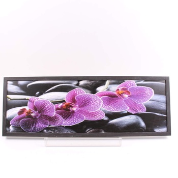 Obraz orchidejí na černých kamenech